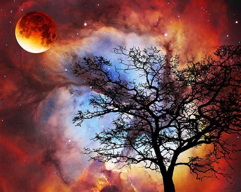 Night Sky Landscape Art Very Pretty All The Reds And