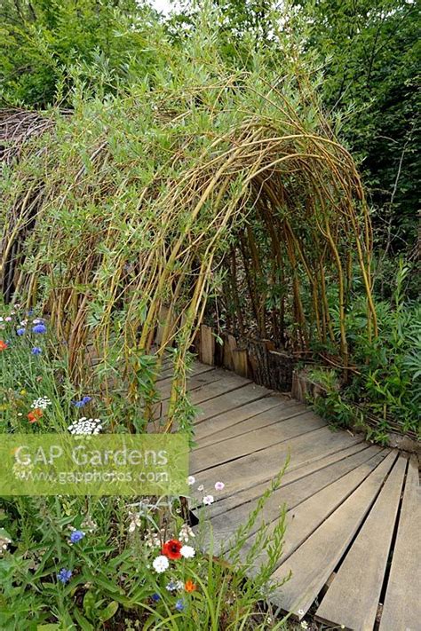 Gap Gardens Living Willow Tunnel With Wooden Pathway Image No