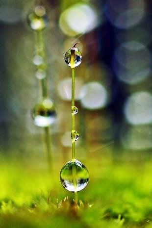 A good way to improve at your. How to Use Bokeh in Photography to Isolate a Subject