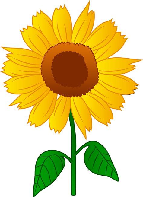 Sunflowers Cartoon Clipart Best