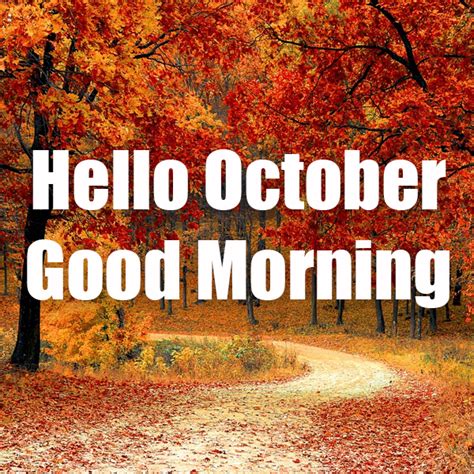 Fall Hello October Good Morning Pictures Photos And Images For