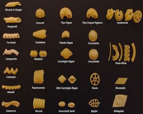 All The Pasta Types Aria Art