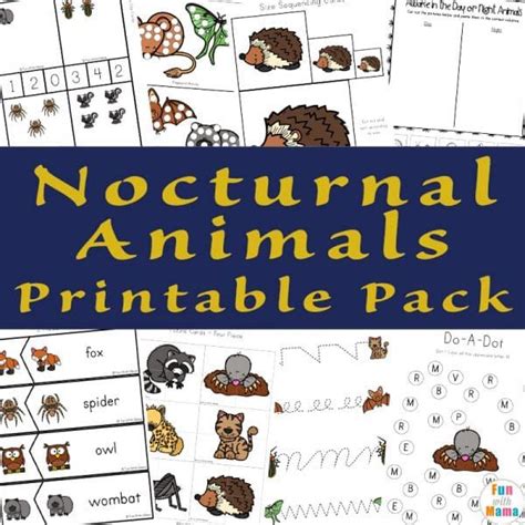 Free Printable Packs Nocturnal Animals Animal Activities For Kids
