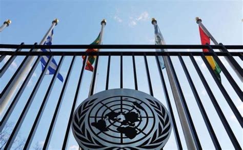 ¿qué Es Y Qué Hace El Consejo De Seguridad De La Onu
