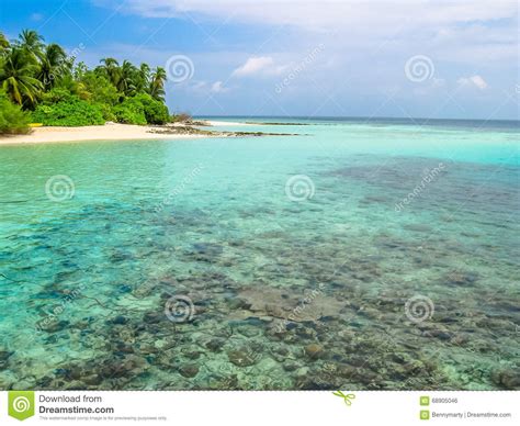 Maldives Coral Reef Stock Photo Image Of Resort Exotic