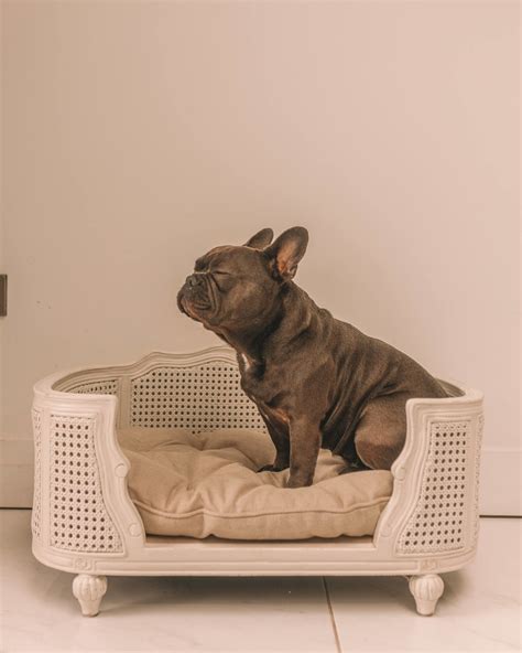 The Most Luxurious Dog Beds Around Petite Side Of Style