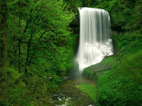 Static Waterfall Nature Green Beautiful Landscape Wallpapers Hd