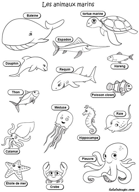 Dessin Kawaii Coloriage Animaux Marins A Imprimer Gratuit