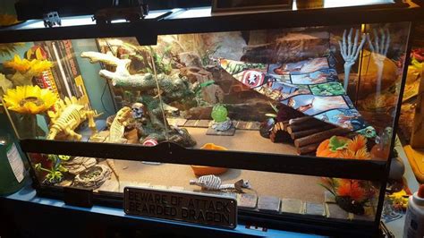 Bearded dragons love to climb so branches, logs and rocks are perfect bearded dragon habitat decor. Bearded Dragon Halloween tank. Thought my little Stan Lee ...