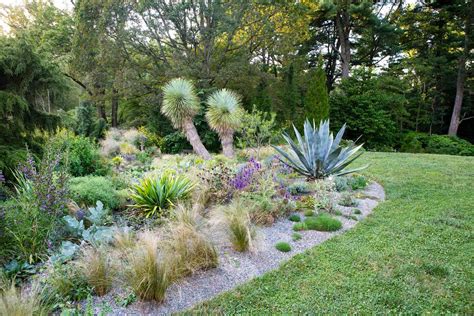 Xeric Garden Designs Fasci Garden