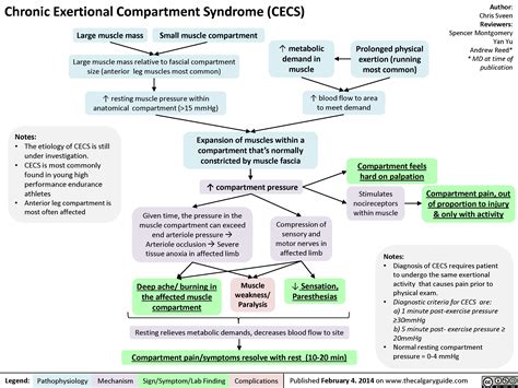 Chronic Exertional Compartment Syndrome Calgary Guide