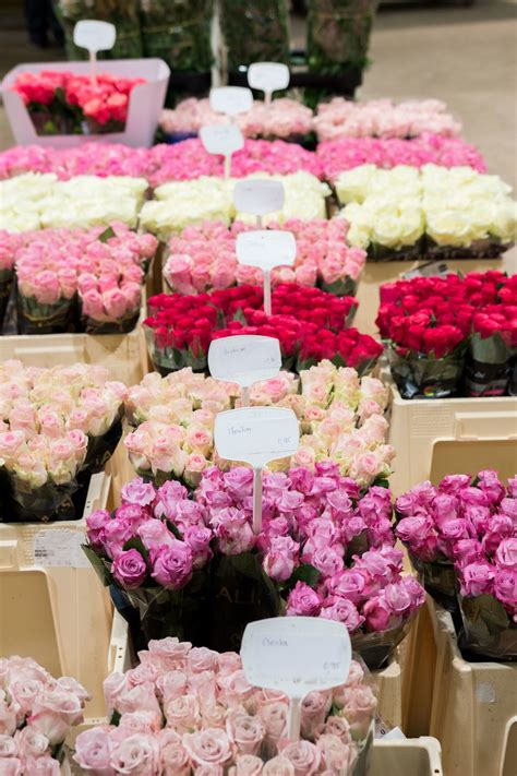 Many local florists have access to all types of flowers regardless of the season or the climate. A Visit to the World's Largest Flower Market in Paris ...