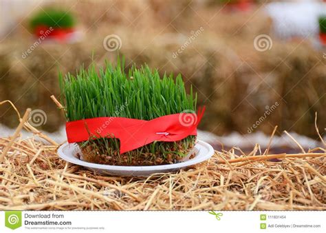 A Seminal Siege On A Red Ribbon On A Dry Grass Novruz National
