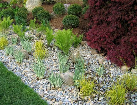 Rain Gardens Dealing With Stormwater Runoff Clc Landscape Design