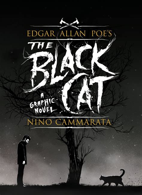 Edgar Allan Poes The Black Cat 1 Issue Edgar Allan Poe Graphic