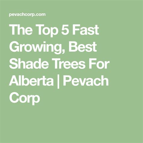 The Top 5 Fast Growing Best Shade Trees For Alberta Pevach Corp