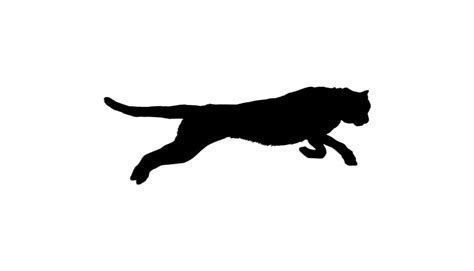 Jaguar Clipart Jumping Picture 2856692 Jaguar Clipart Jumping