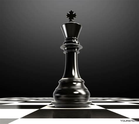 Ферзь королева в шахматах 32 фото