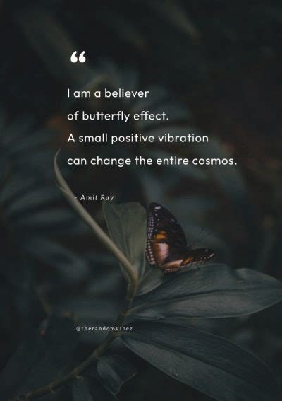 Butterfly Effect Quotes About The Chaos Theory