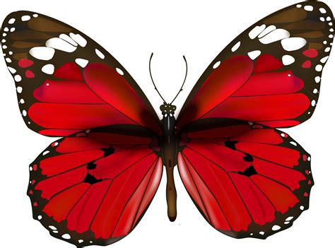Butterflies Clipart Transparent Free Png Download Red Butterfly