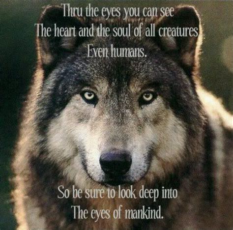 Alpha Wolf Quotes Quotesgram