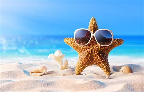 Wallpaper Sand Sea Beach Summer Star Vacation Glasses Shell