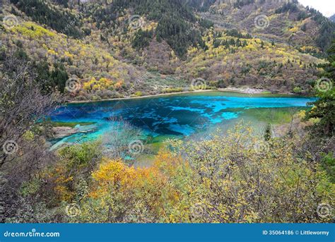 Five Flower Lake Jiuzhaigou Stock Photo Image Of Forest Heaven