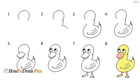 How To Draw Duck Step By Step Easy Drawing Lessongs
