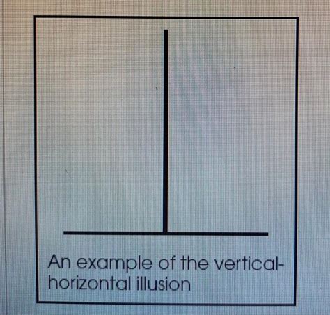 Solved An Example Of The Vertical Horizontal Illusion Is