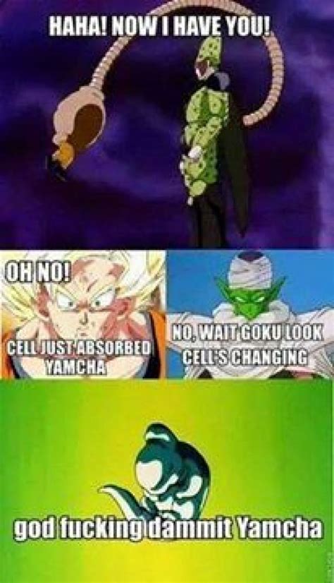 Check spelling or type a new query. Yamcha even ruins perfection! XD - Animes Forever.Com | Dragon ball z, Anime memes funny, Dbz memes