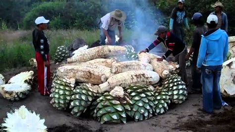 Cooking Maguey For Mezcal Real Minero Oaxaca Mexico Youtube