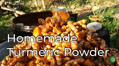 Homemade Turmeric Powder Youtube