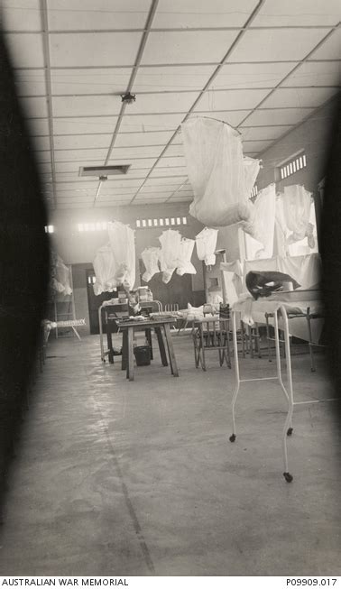 Hospital Ward Of The 213th Australian General Hospital Agh During