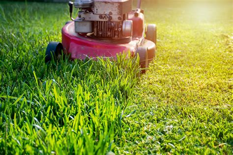 What Is A Roller Lawn Mower Definition Faqs And Are They Any Good
