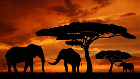 Free Download Africa Landscape Sunlight Wallpaper Park Cloud Travel