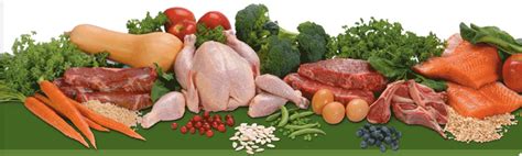 Vitamin b6 is essential for chickens to use amino acids properly. Foods Rich in Vitamin B2 (Foods High in Vitamin B2)