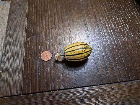Are we still doing bountiful harvests? : r/gardening