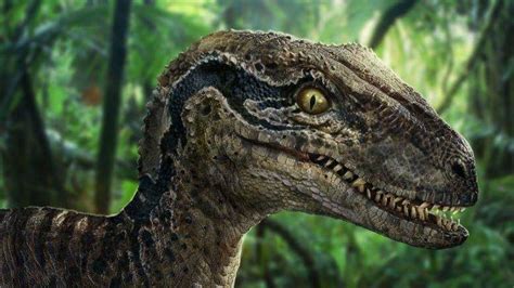Jurassic Park’s Most Popular Dinosaurs Ranked Fandom