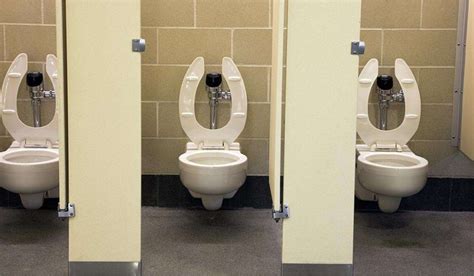 fg to construct 10 000 public toilets to end open defecation in abuja