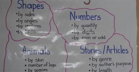 Classify And Categorize Anchor Chart Ed To Help My First Graders Understand The Skill