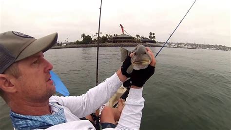 Kayak Fishing San Diego Bay Catching Lots Of Bay Bass And Why Not