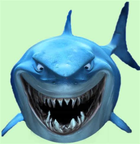 Nemo Shark 12 Youtube