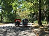 Pedicab In Central Park Images