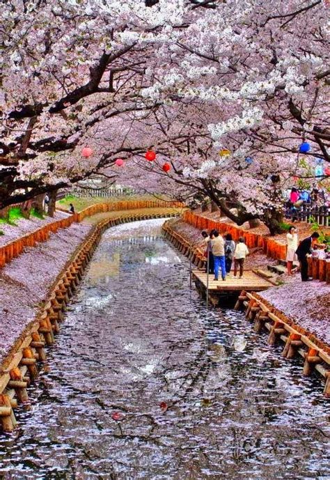 Top 5 Best Place To Visit In Japan | Christof Scholz