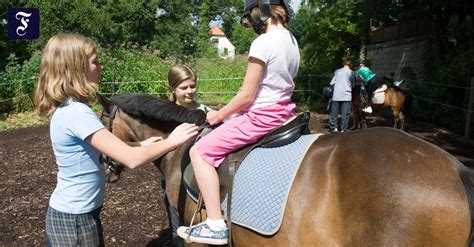 Pferdesport Warum Mädchen Reiten Mehr Sport Faz