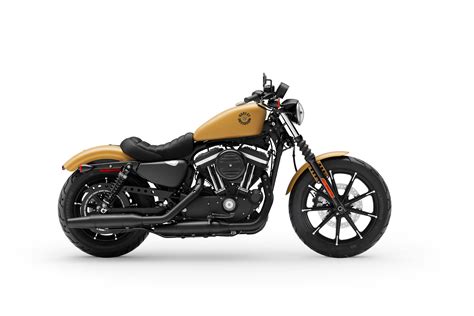 Black denim, river rock gray denim, deadwood green, snake venom. 2019 Harley-Davidson Iron 883 Guide • Total Motorcycle