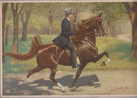 While we might all have different opinions, wishing death on someone is the worst thing i can. The American Saddlebred: 4/23/13 Happy Birthday CH Wing ...