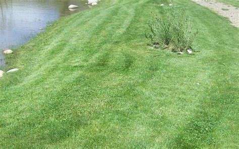 Lawns with thick thatch or those in need of total renovation would benefit from this aggressive approach. Durango Lawn Care and Maintenance Services - Fleming Landscaping