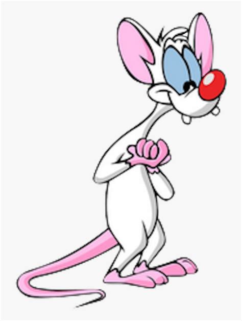 Pinky Pinky And The Brain Mouse HD Png Download Kindpng