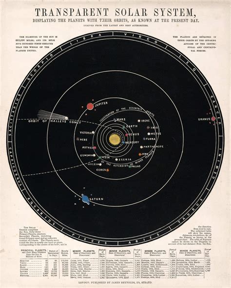 Vintage Astronomy Print Star Chart Zodiac Constellations Celestial